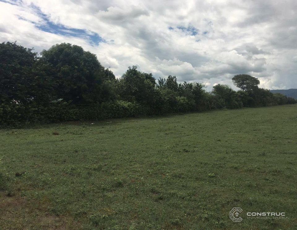 Terreno plano rodeado de vegetación – Lotes Campestres El Diamante