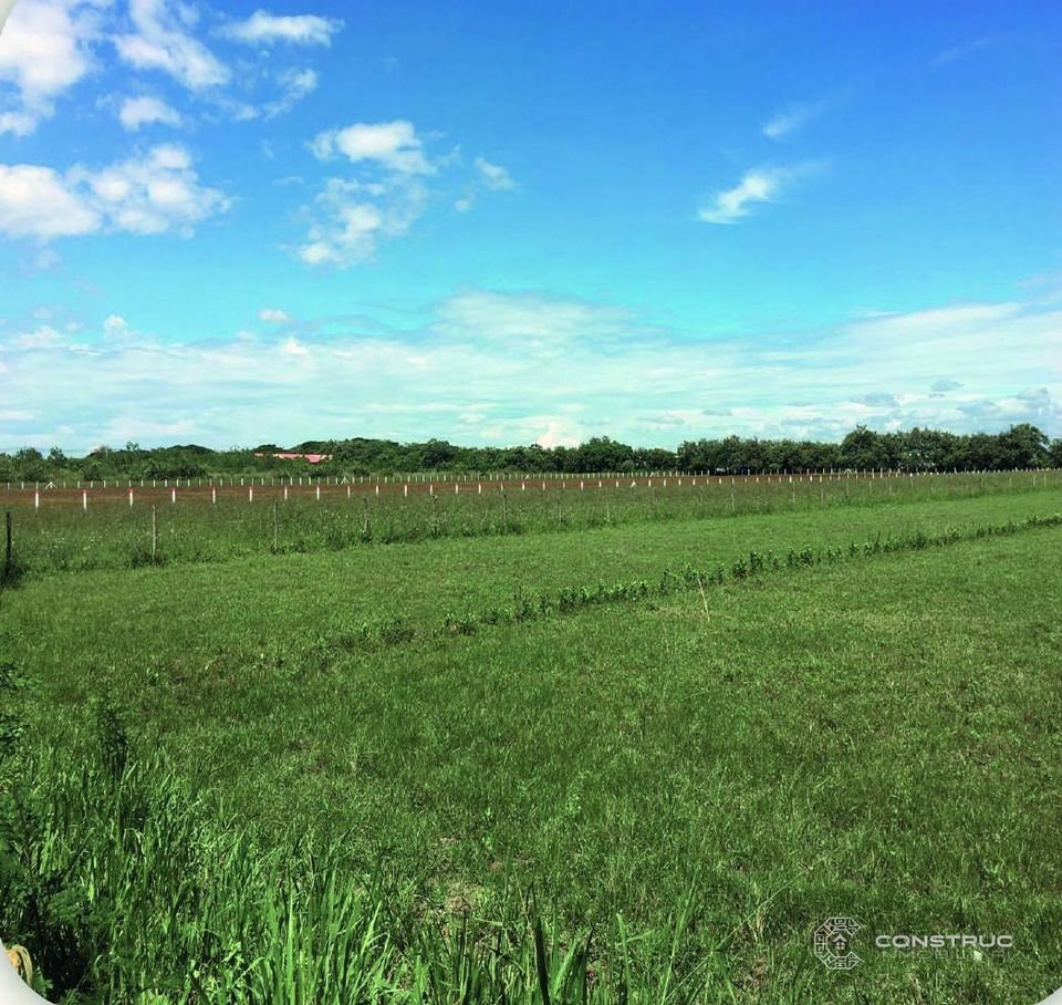 Terreno plano y demarcado – Lotes Campestres Palermo