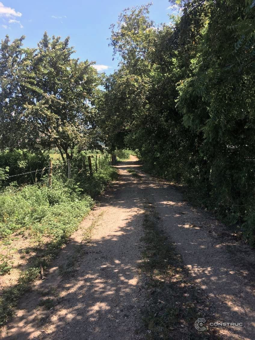 Camino de acceso – Lotes Campestres Palermo