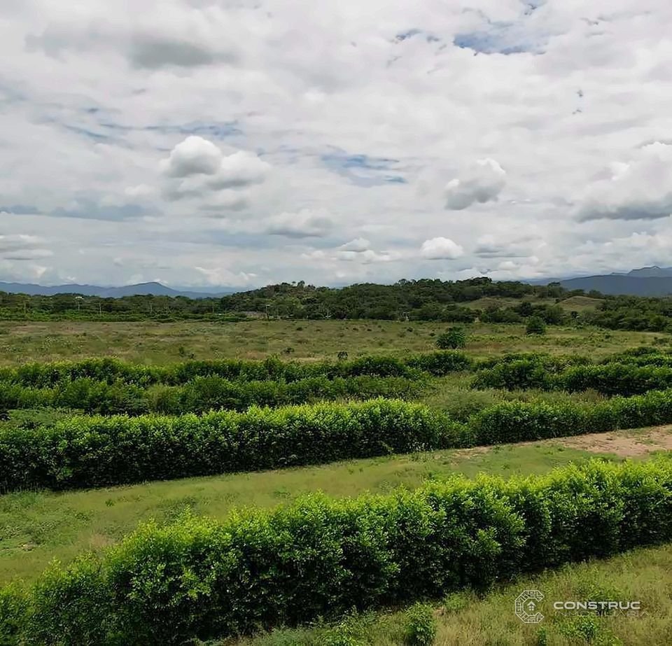Entorno natural de San Miguel – Parcelas Campestres San Miguel